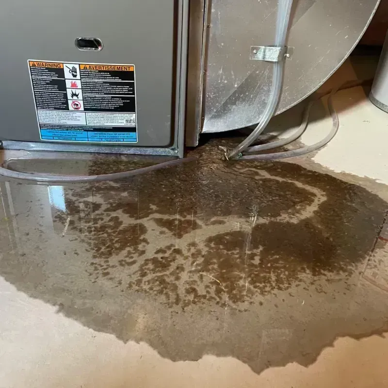 Appliance Leak Cleanup in Ashton-Sandy Spring, MD